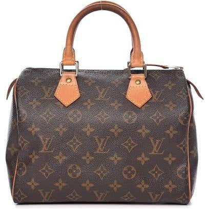 Louis Vuitton Brown Monogram Handbag